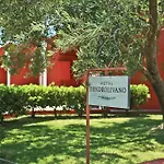 Dendrolivano 3* Minia