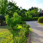 Aparthotel Dendrolivano Minia