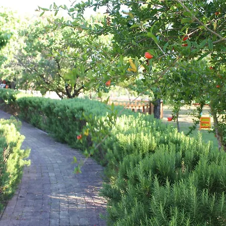 Dendrolivano Apart-hotel Minia