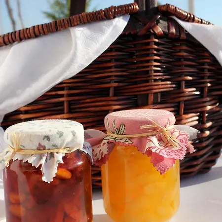 Apart-hotel Dendrolivano Minia