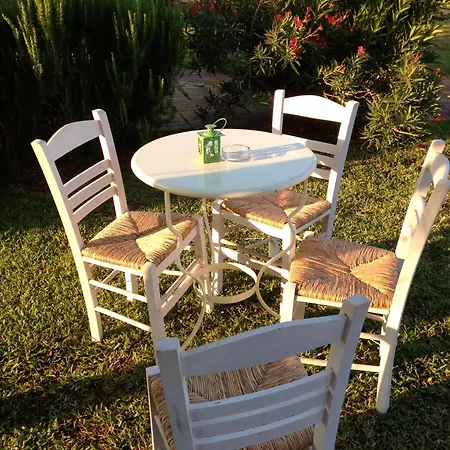 Apart-hotel Dendrolivano Minia