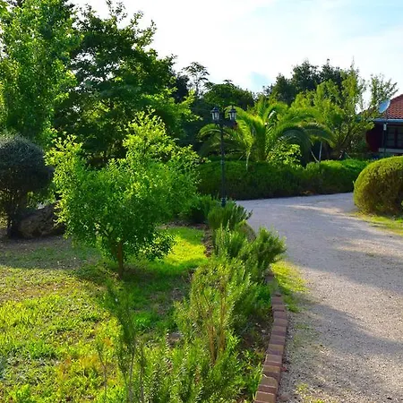 Apart-hotel Dendrolivano Minia