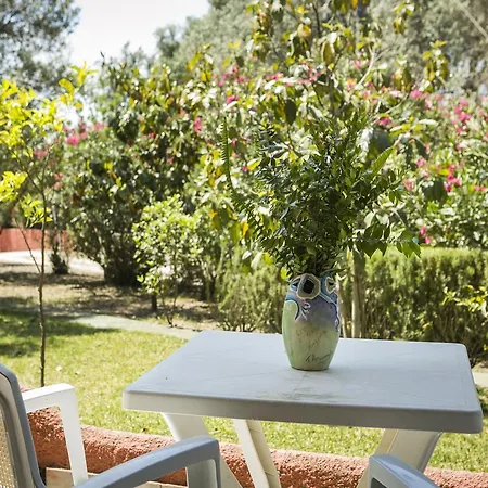 Apart-hotel Dendrolivano