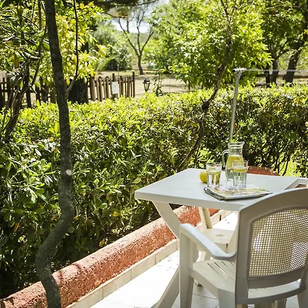 Apart-hotel Dendrolivano Minia