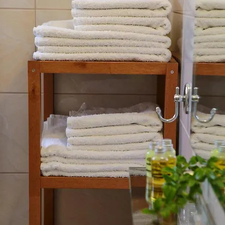 Apart-hotel Dendrolivano