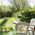 Dendrolivano 3* Minia