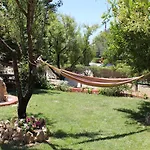 Dendrolivano 3*
