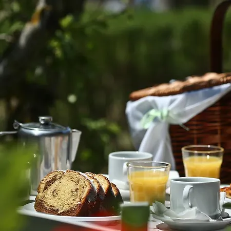 Aparthotel Dendrolivano Minia