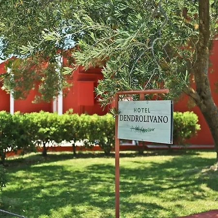 Dendrolivano 4* Minia