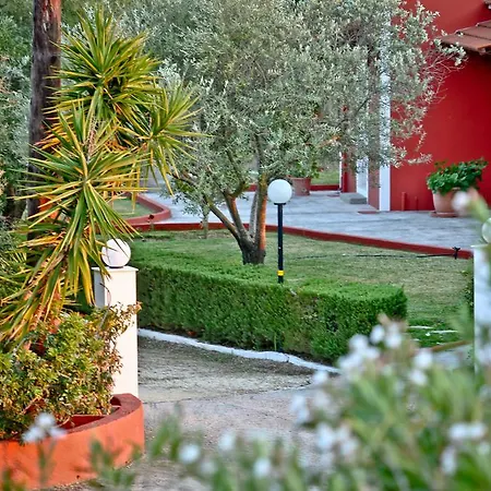 Dendrolivano Aparthotel Minia