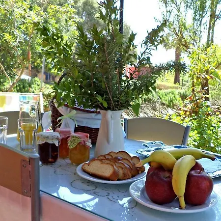 Dendrolivano Aparthotel Minia