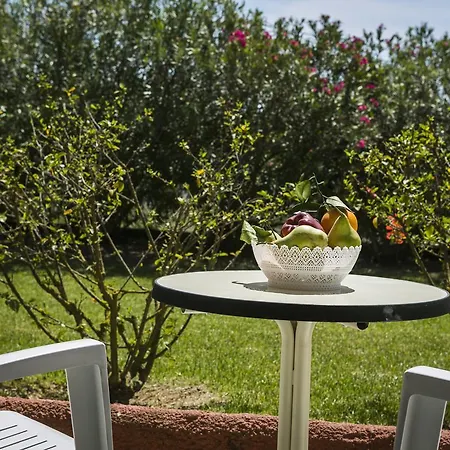 Dendrolivano Aparthotel Minia