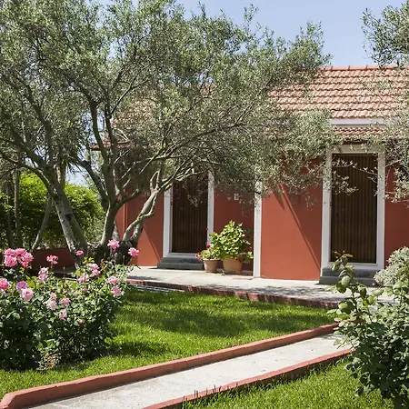 Dendrolivano Aparthotel 4*