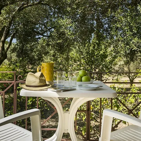 Dendrolivano 4* Minia