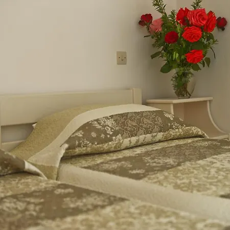 Dendrolivano 4* Миния