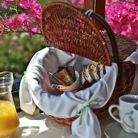 Dendrolivano Апарт-отель 4*