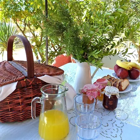 Dendrolivano Миния