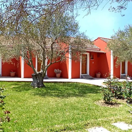 Dendrolivano Миния